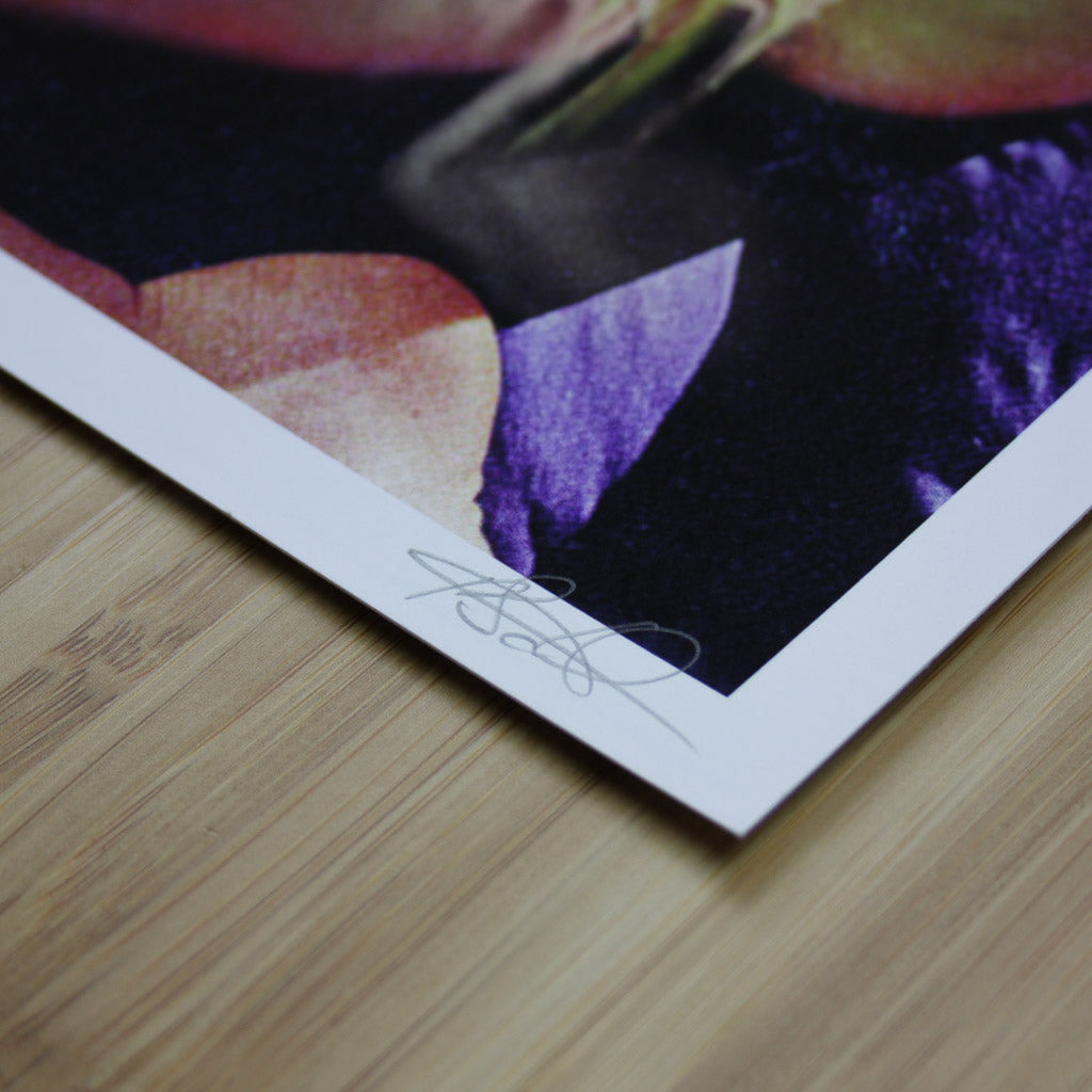 Nightcrawler – drømsjel Fine Art Print