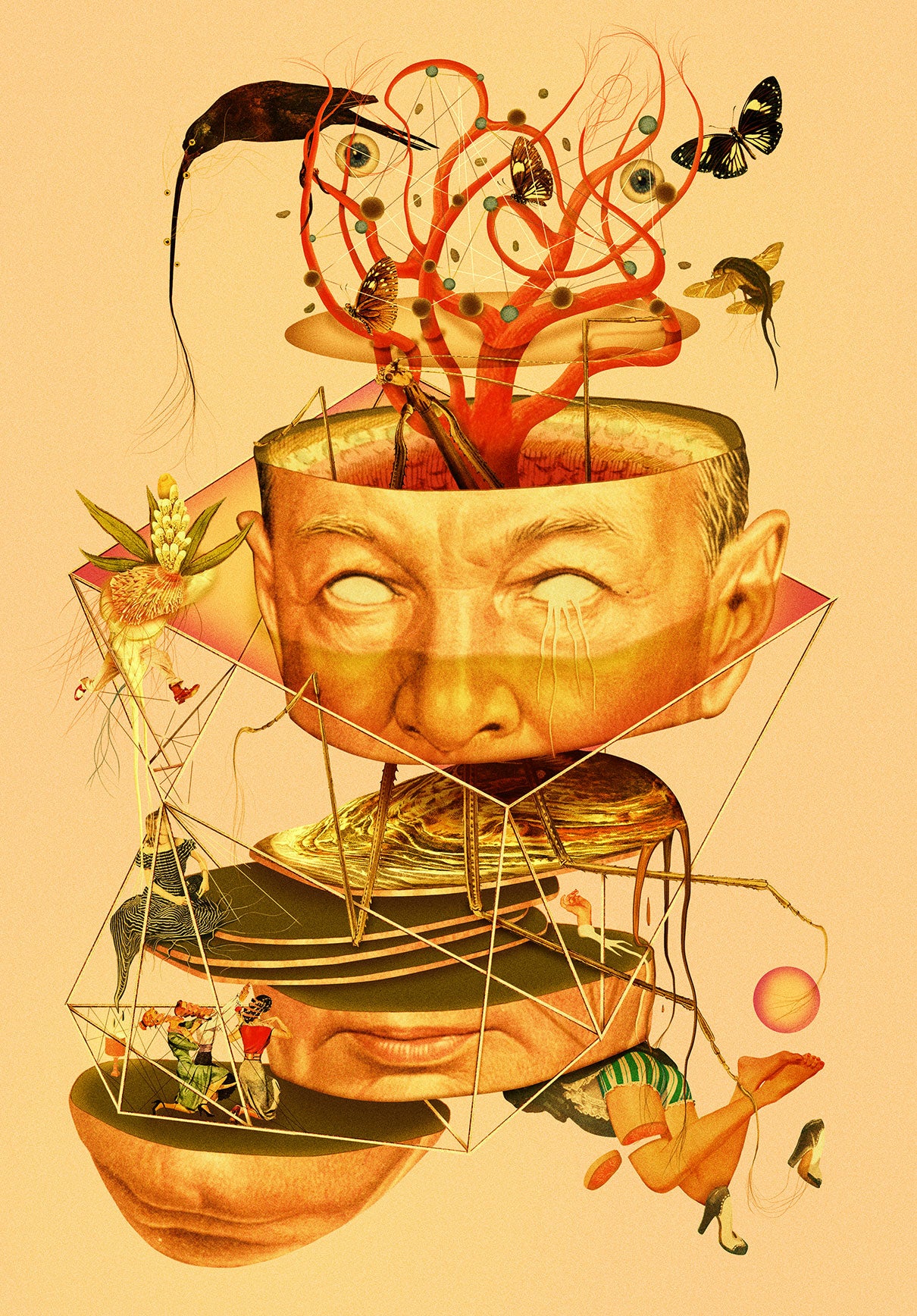 Ressentiment I – drømsjel Fine Art Print